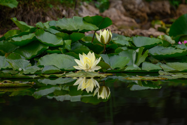 Similar image 21897809