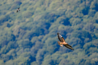 Similar image 21897810