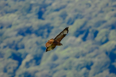 Similar image 21897813