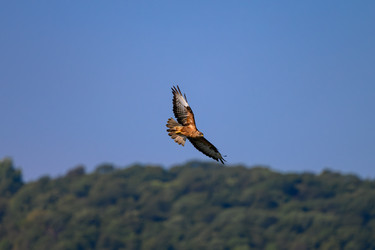 Similar image 21897831