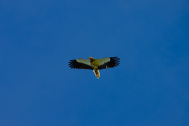 Similar image 21897833