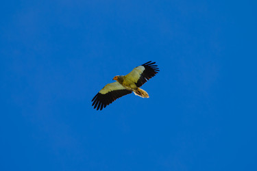 Similar image 21897834