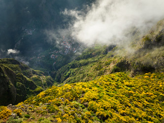 Similar image 21897644