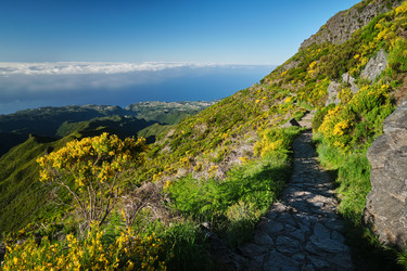 Similar image 21897656