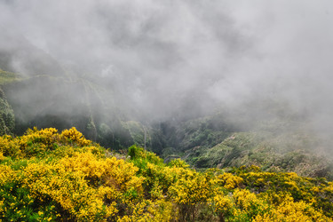 Similar image 21897657