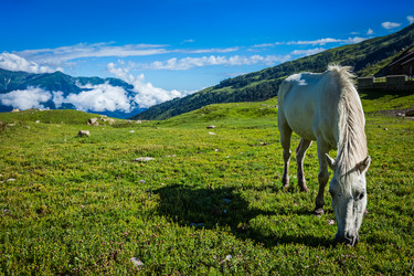 Similar image 21897660