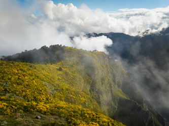 Similar image 21897665