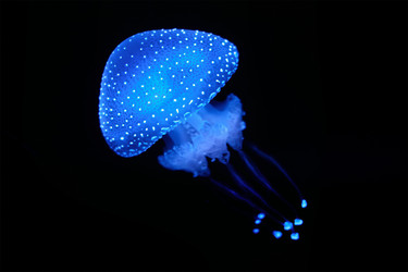 Similar image 21897667