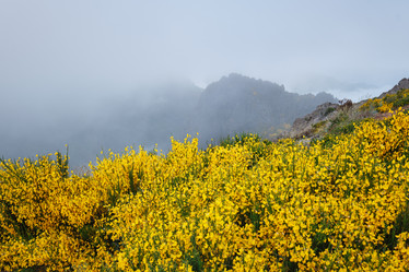 Similar image 21897670