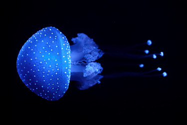 Similar image 21897671