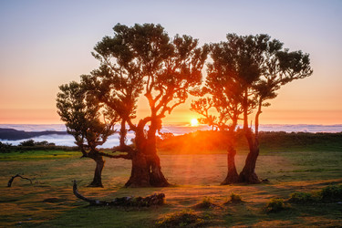 Similar image 21897674