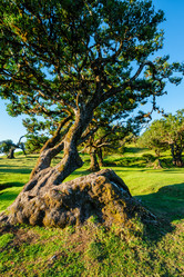 Similar image 21897680