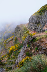 Similar image 21897691