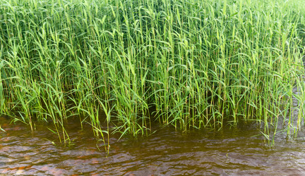 Similar image 21899480