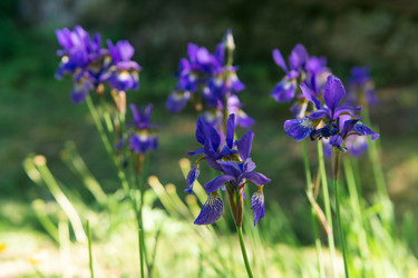 Similar image 21899484