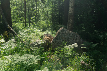 Similar image 21899487