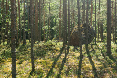 Similar image 21899488