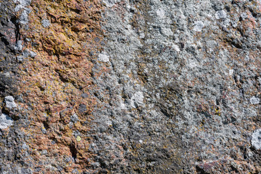 Similar image 21899494