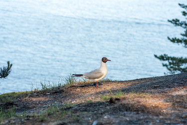 Similar image 21899498