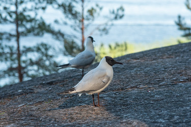 Similar image 21899499