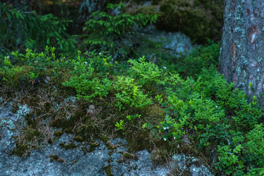 Similar image 21899501