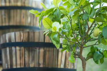 Similar image 21899504