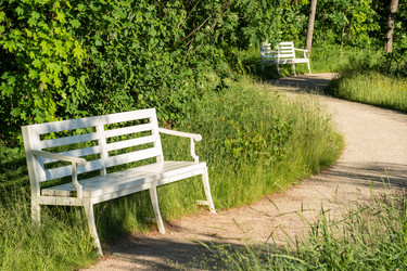 Similar image 21899506