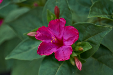 Similar image 21898386