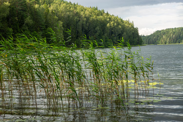 Similar image 21899614