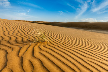 Similar image 21897698