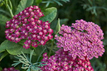 Similar image 21898388