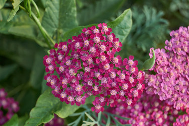 Similar image 21898392