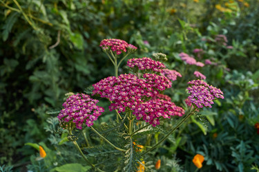 Similar image 21898393