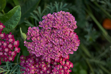 Similar image 21898394