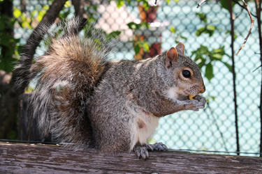 Similar image 21897701