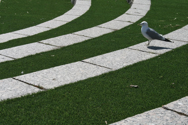 Similar image 21897702