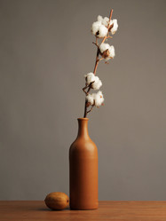 Similar image 21897704