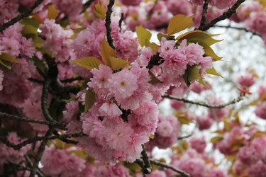 Similar image 21897706