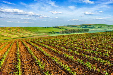 Similar image 21897726