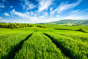 Similar image 21897727