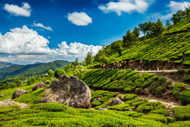 Similar image 21897740