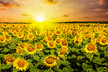 Similar image 21897745