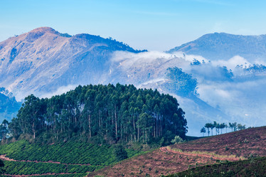 Similar image 21897748