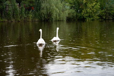 Similar image 21907394