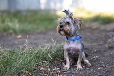 Similar image 21907399