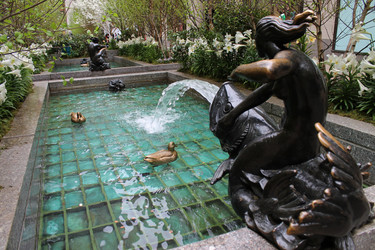 Similar image 21898032