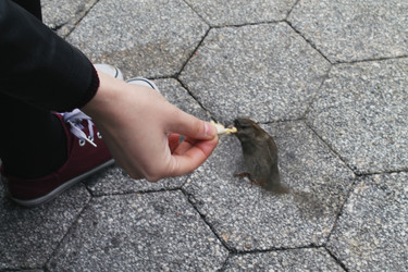 Similar image 21898038