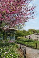 Similar image 21897756