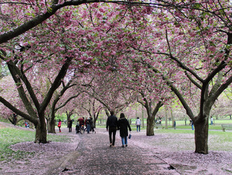 Similar image 21897758