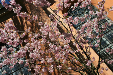 Similar image 21897759